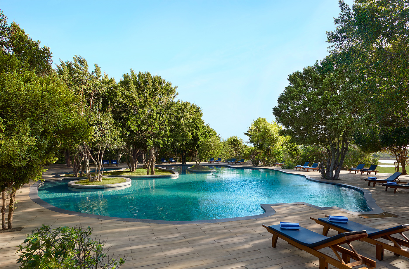 CINNAMON WILD- YALA